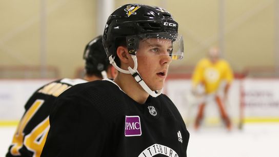 Report: Penguins looking to bring back Hallander taken Montreal